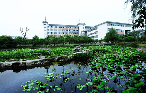  合肥商贸科技学校