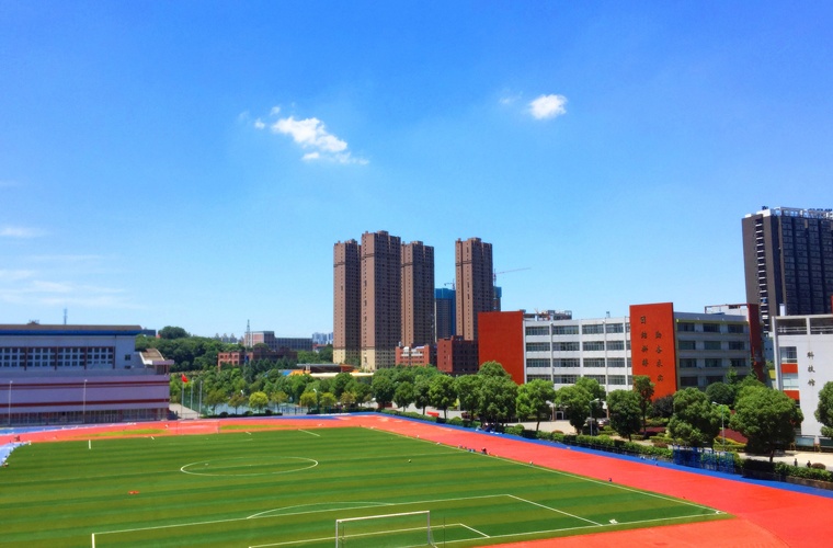 药学（应用型） (大专)