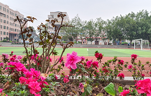  霍邱县三流乡职业初中