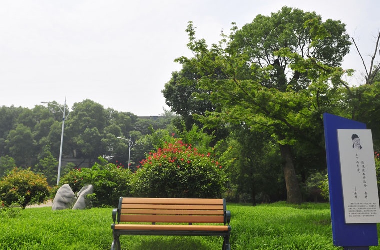 藏医学（专升本）