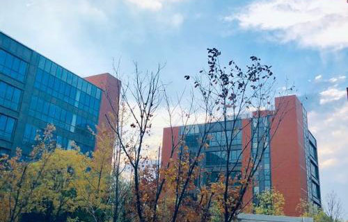  阜南县焦陂镇高级职业中学