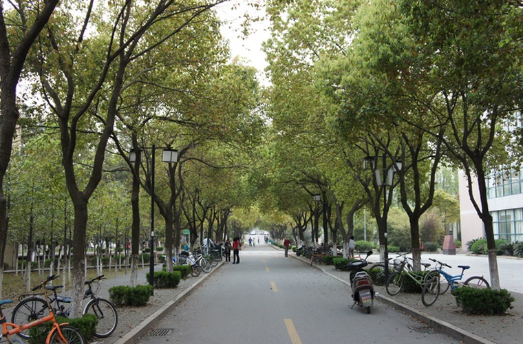 物业管理 (本科) 物业管理 (本科)