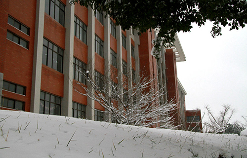  凤台高级职业中学