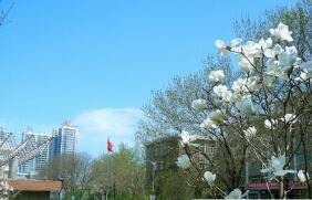  太原城市职业技术学院五年制大专