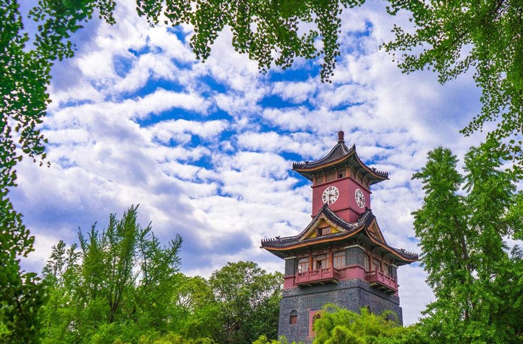 <a href=https://www.9951.cc/zhuanye/dazhuan/13499.html target=_blank class=infotextkey>旅游管理</a>（应用型） (大专)