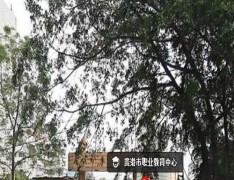 贵港职业教育中心
