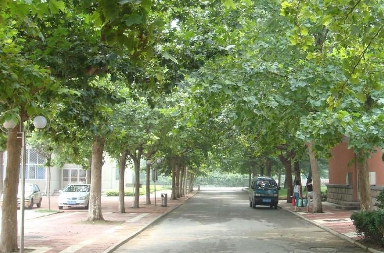 城乡规划（专升本）