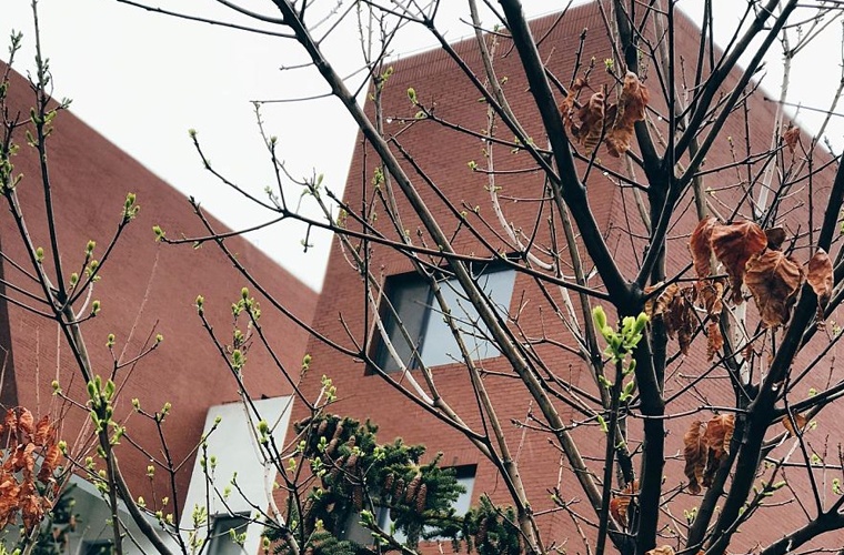 中医学（专升本）