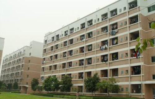  鹿寨化肥总厂技工学校