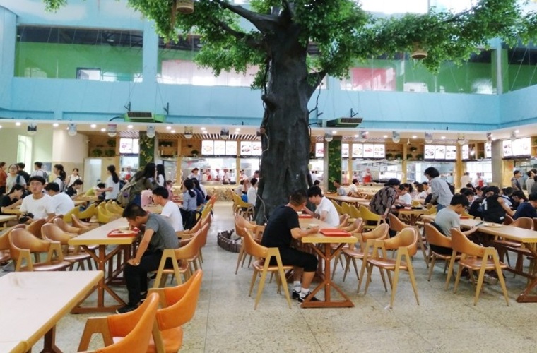 保险（高升专）