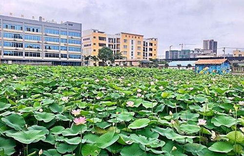  广西钦州农业学校