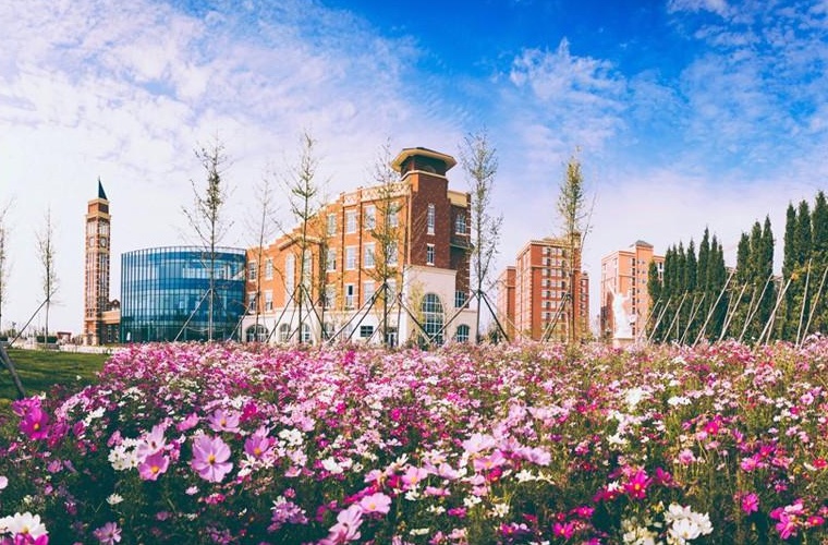 药学（应用型） (大专)