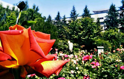  凤阳县职教中心