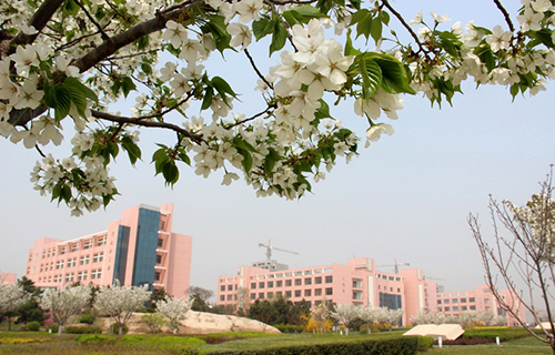  安徽艺术设计学校