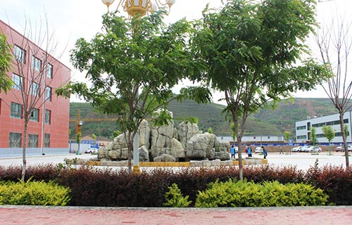  潜山县王河高级职业中学