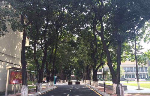  巴马瑶族自治县农业机械化学校