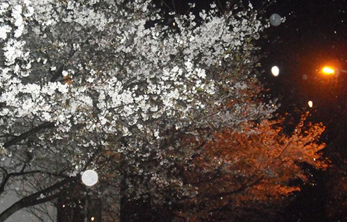  东阳市技术学校