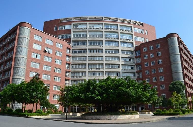 网络工程 (本科)