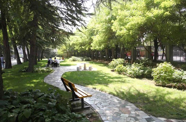 汽车检测与维修技术（专升本）