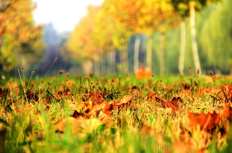 工程管理 (本科)