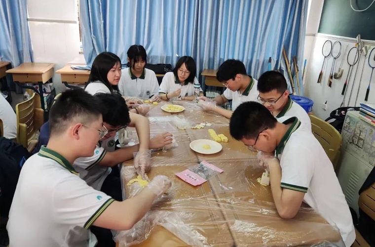 电梯安装与维护 电梯安装与维护