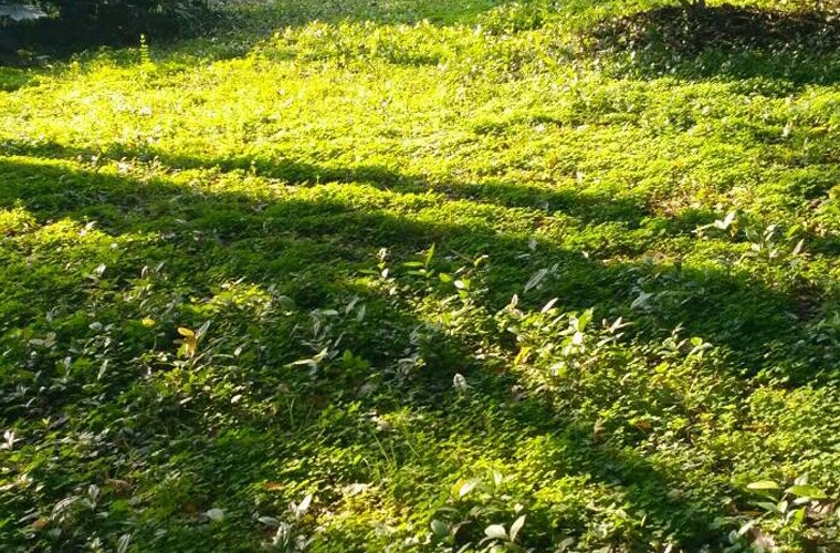 通信技术（高升专）