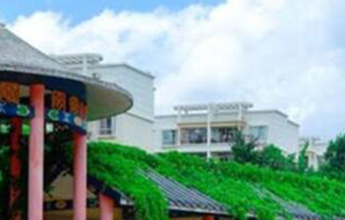  崇左市民族技工学校