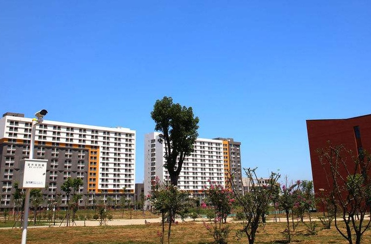 金融管理 (大专)