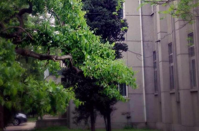 <a href=https://www.9951.cc/zhuanye/dazhuan/13427.html target=_blank class=infotextkey>工程造价</a>（高升专）