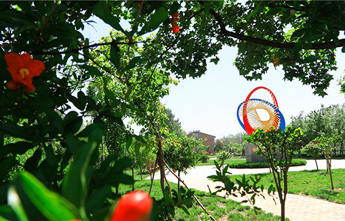  亳州师范高等专科学校五年制大专