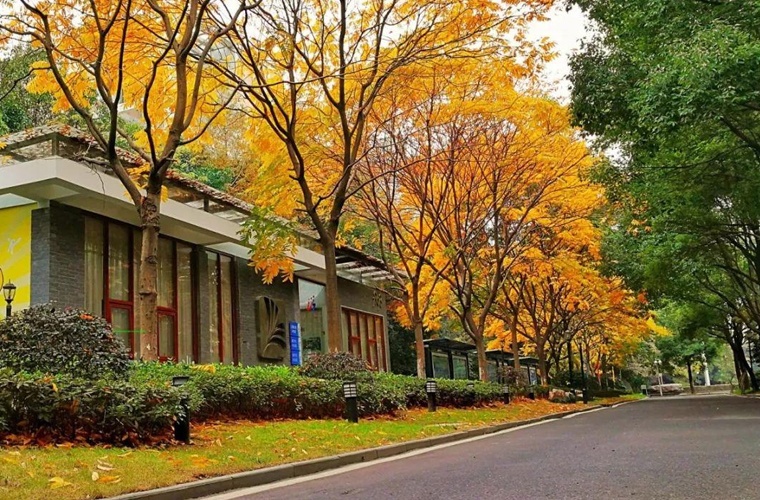 金融学（应用型） (本科)