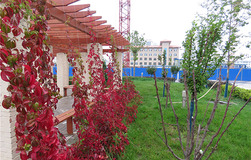  贵池职业教育中心