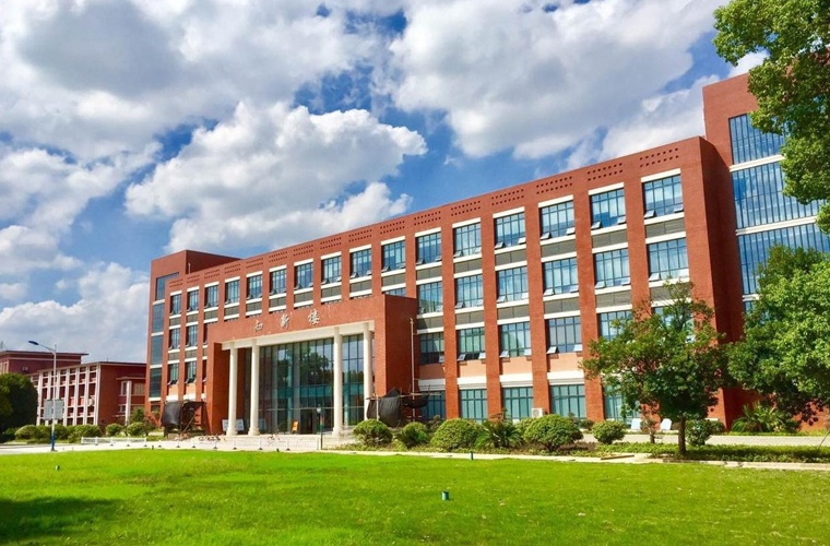 信息管理与信息系（专升本）