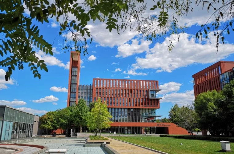 小学教育（专升本）