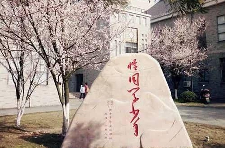 中医学（高升专）