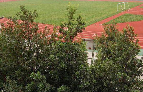  柳城县中等职业技术学校