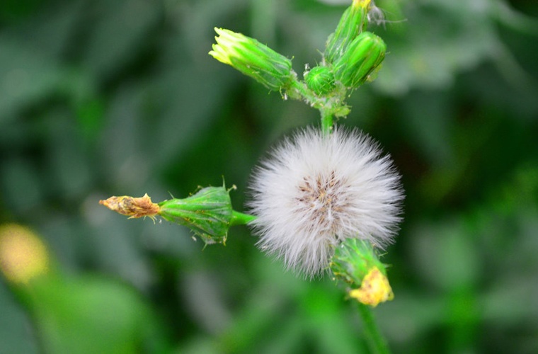 国土资源调查与管理