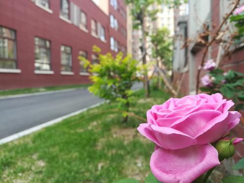  辽宁文华工艺美术学校