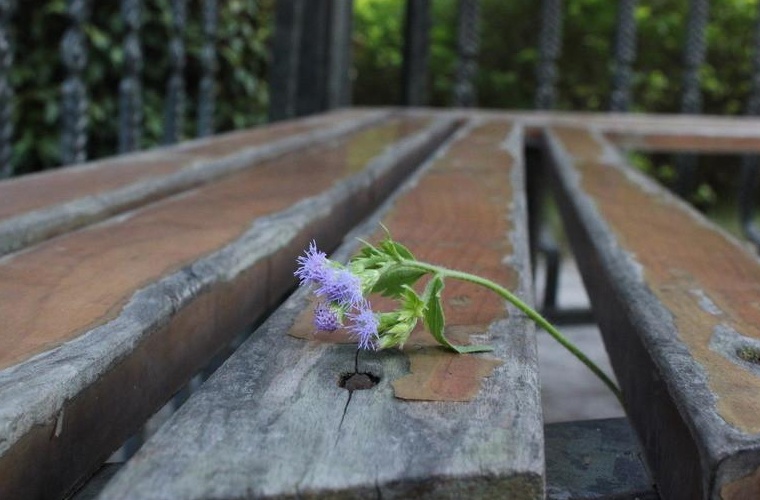 <a href=https://www.9951.cc/zhuanye/dazhuan/13459.html target=_blank class=infotextkey>人力资源管理</a>（专升本）