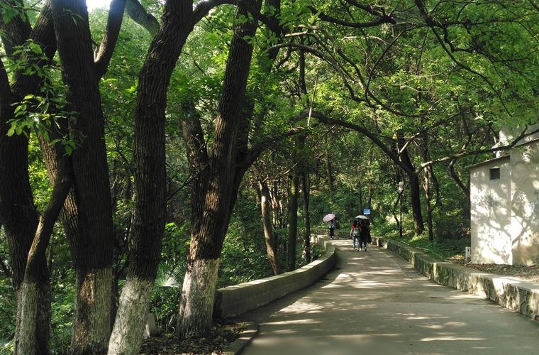 乡镇管理 (大专)