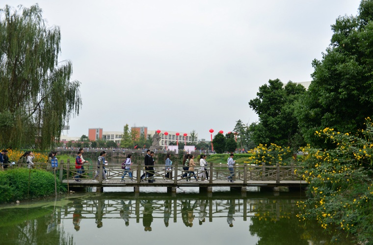 建筑学（专升本）