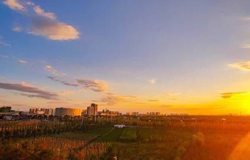  沈阳五年制大专学校