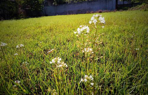  太原艺术设计学校