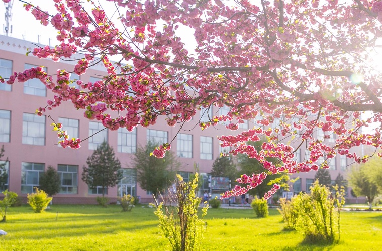 道路桥梁工程技术（高升专）