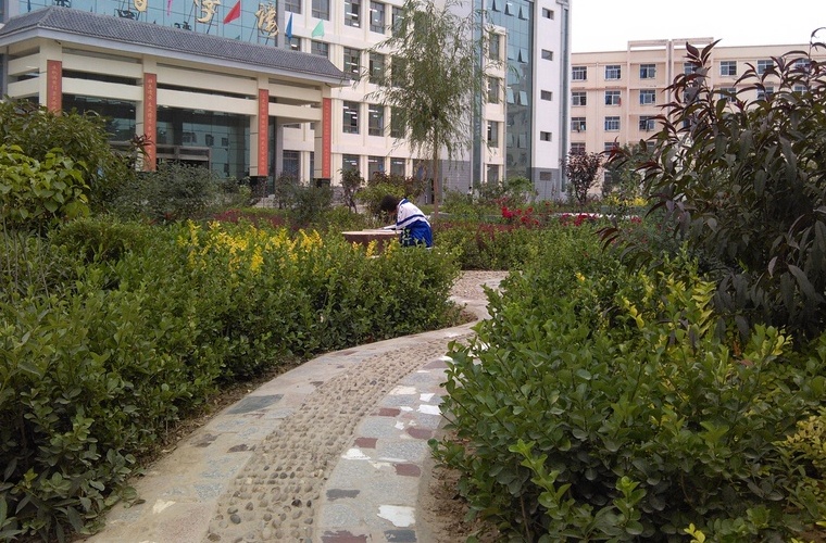 医学美容技术（高升专）