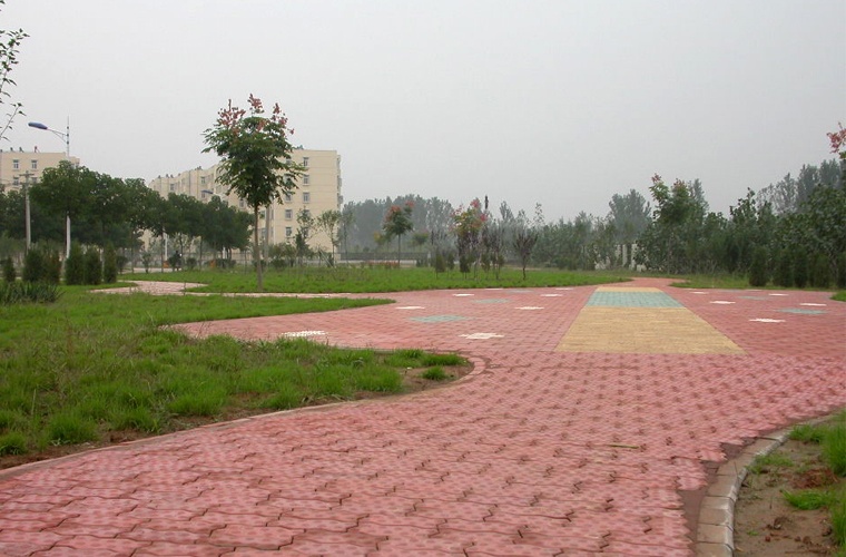 保险学（专升本）