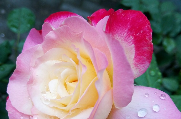 自动化（应用型） (本科)