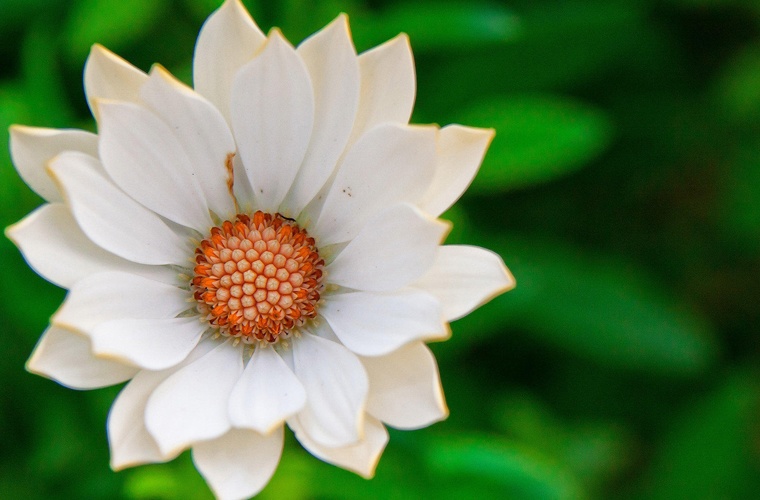 机械制造与自动化