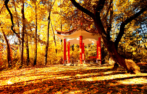  合肥高铁乘务学校