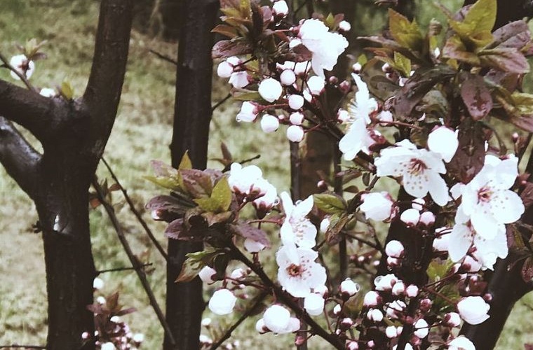 美容美发与形象设计